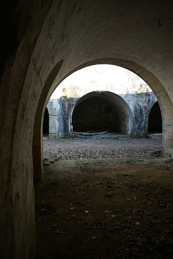 Циків з panoramio.com - Цыков
