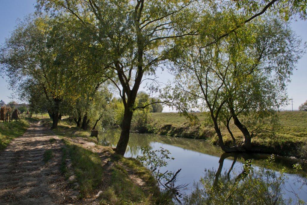 Тисмениця з panoramio.com - Тисмениця