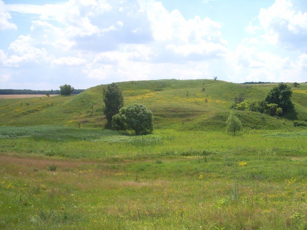 Пархомівка з panoramio.com - Пархомівка