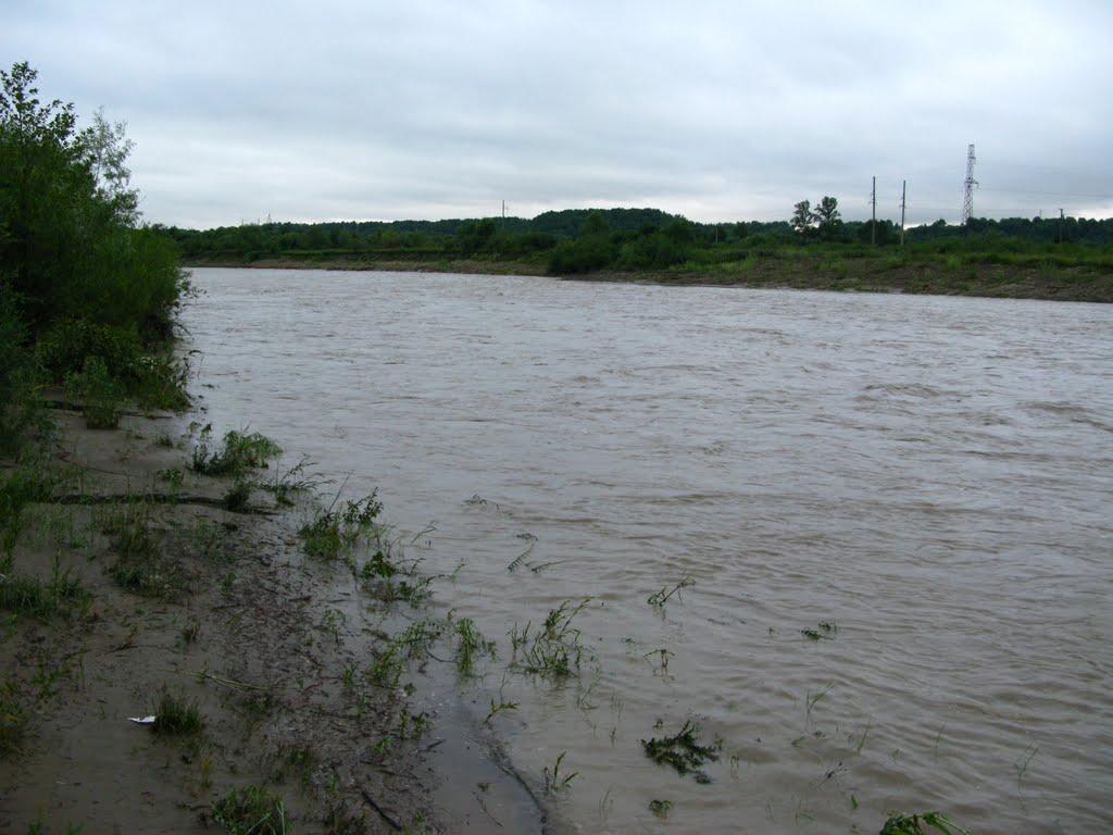 Старі Богородчани з panoramio.com - Старі Богородчани