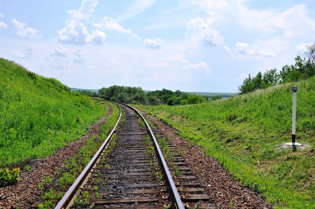 Осикове з panoramio.com - Осыково