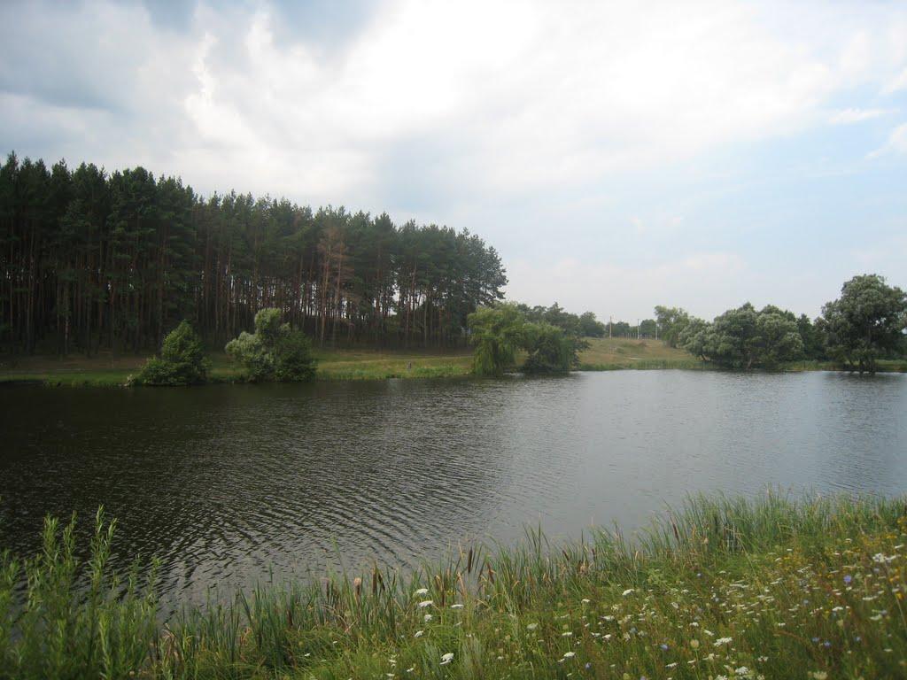 Нова Мерефа з panoramio.com - Nova Merefa