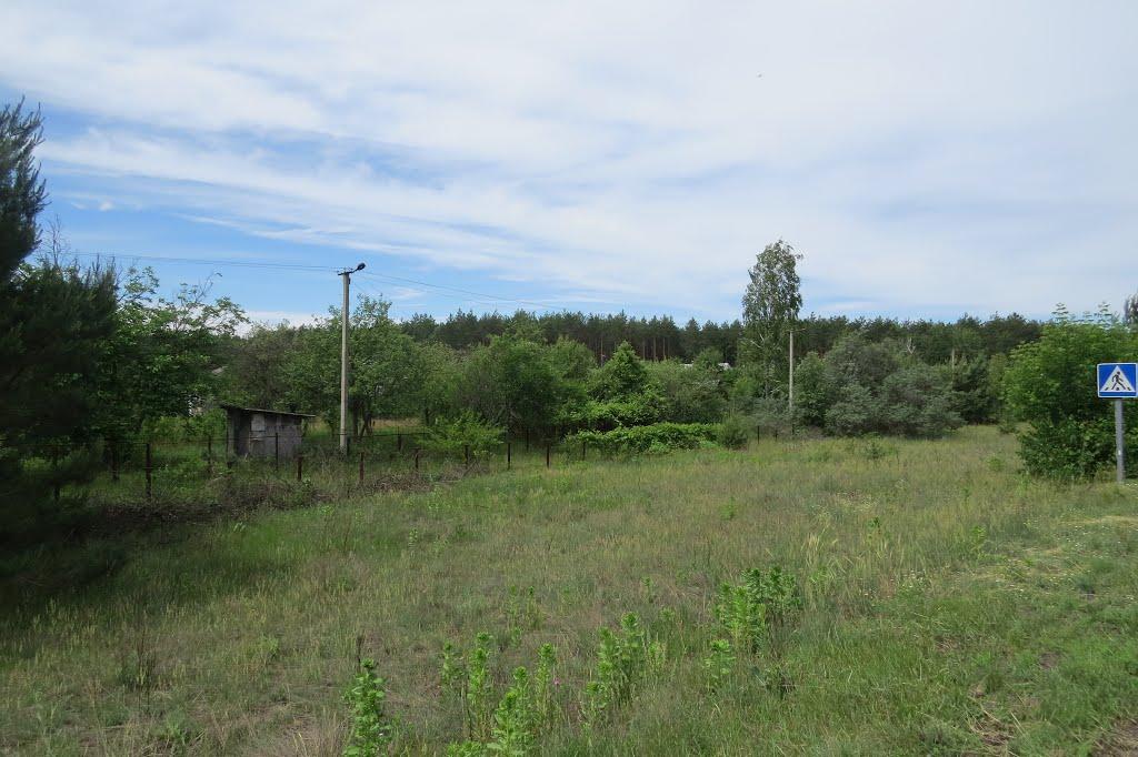 Софіївка з panoramio.com - Софіївка