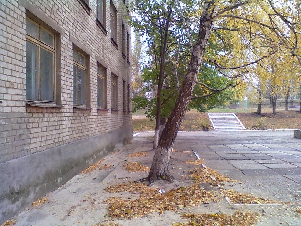 Миколаївка з panoramio.com (ч.2) - Николаевка