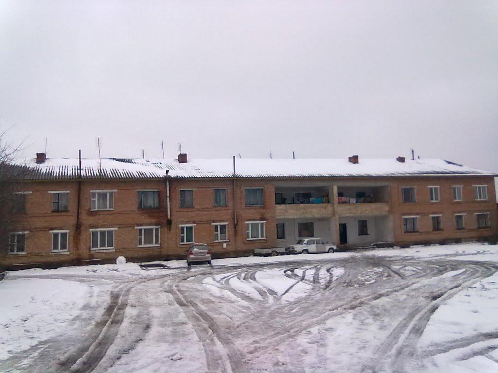 Никифорівці з panoramio.com - Никифоровцы