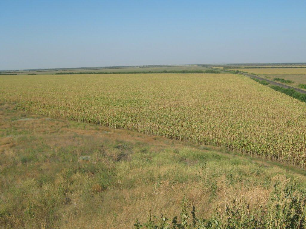 Верхні Сірогози з panoramio.com - Верхні Сірогози