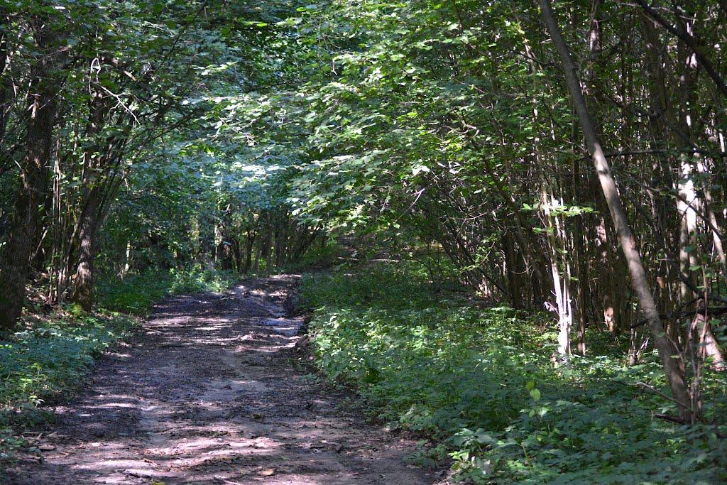 Грабовське з panoramio.com - Грабовське