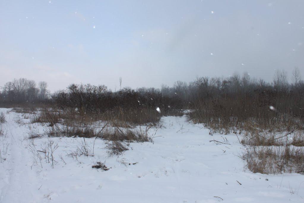 Кіровське з panoramio.com (ч.3) - Обуховка