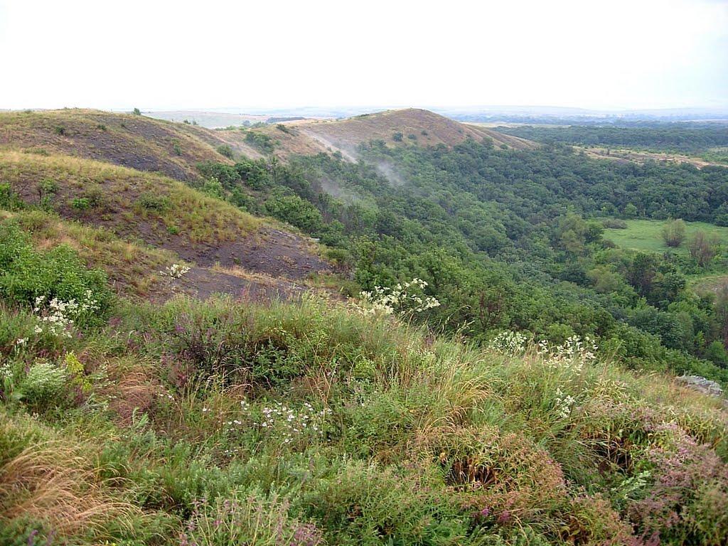 Дмитрівка з panoramio.com - Dmytrivka