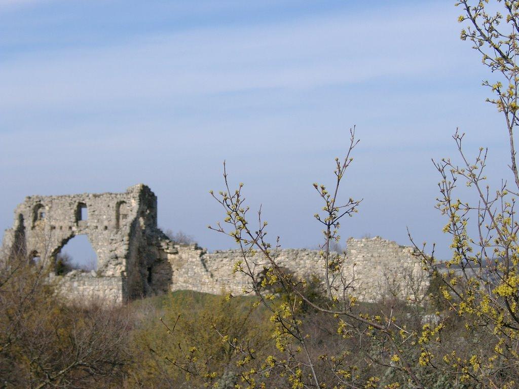 Залісне з panoramio.com (ч.2) - Залісне