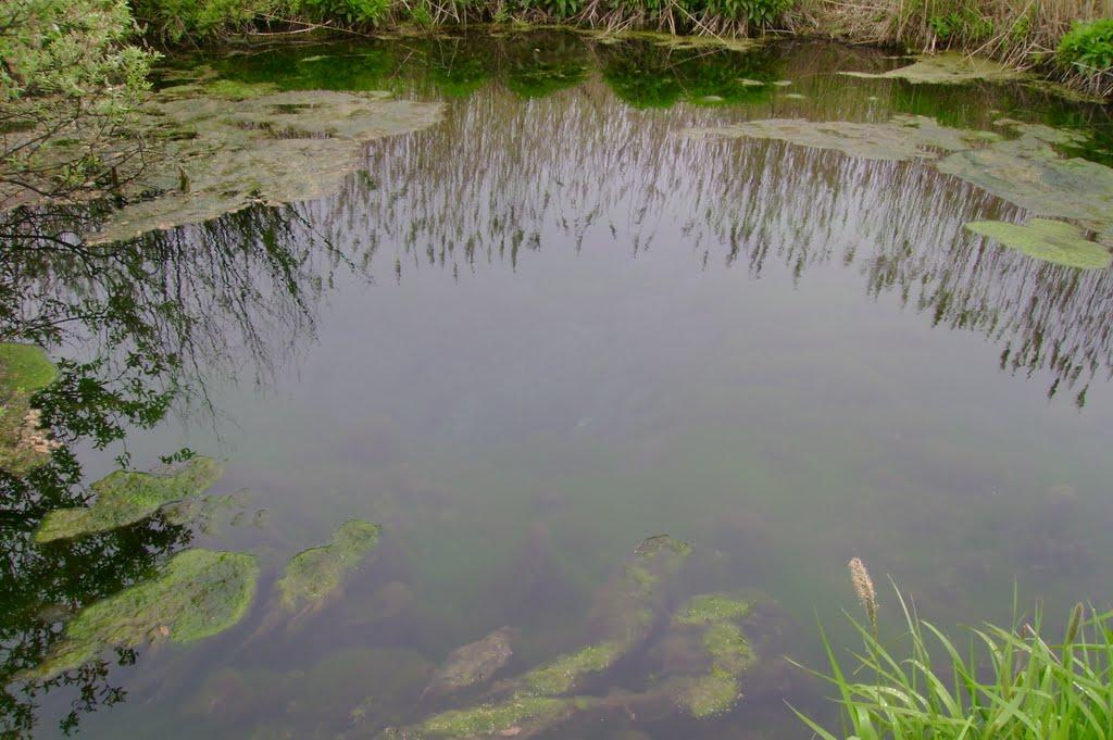 Глухів з panoramio.com - Глухов