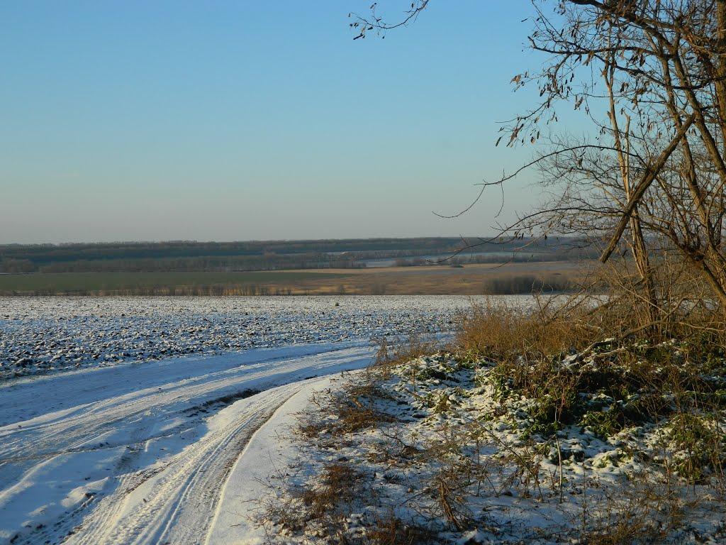 Вільне з panoramio.com - Вільне