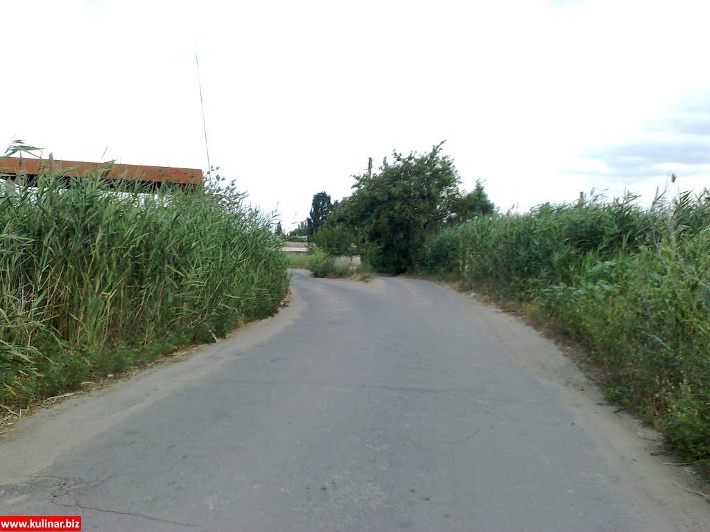 Мелітополь з panoramio.com (ч.2) - Мелитополь
