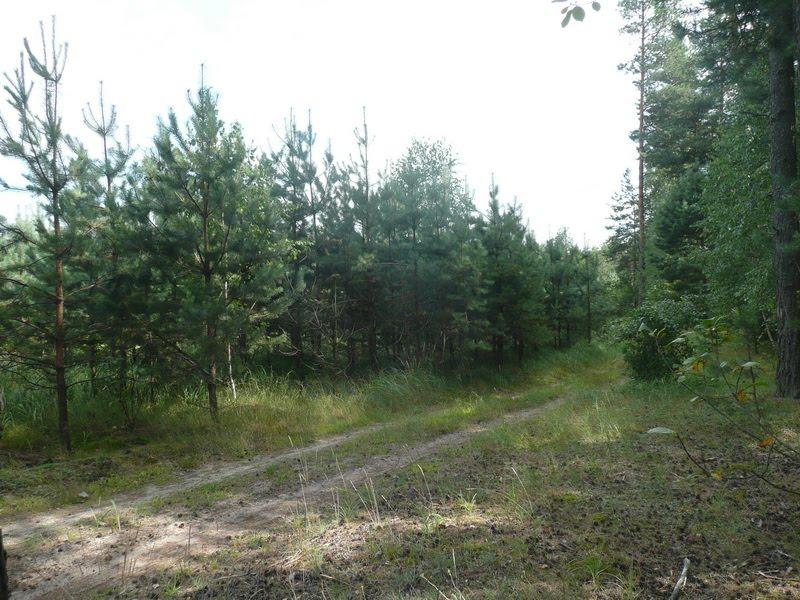 Кислі з panoramio.com - Кисли