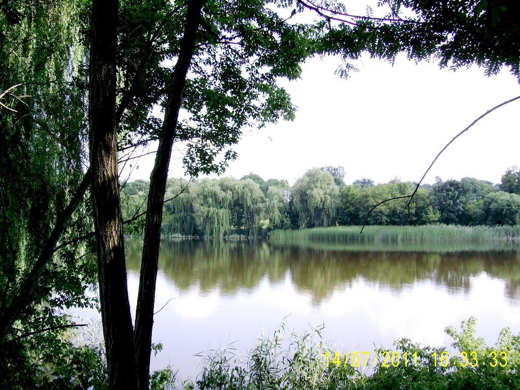 Романівка з panoramio.com - Романівка