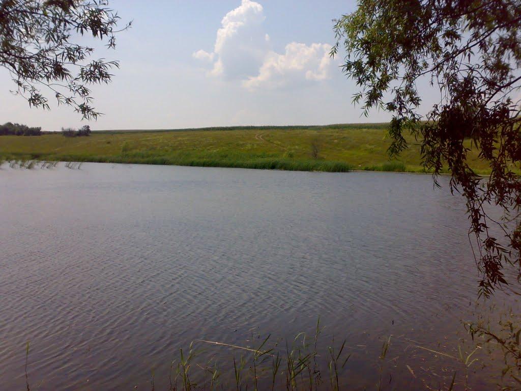 Лютівка з panoramio.com - Лютівка