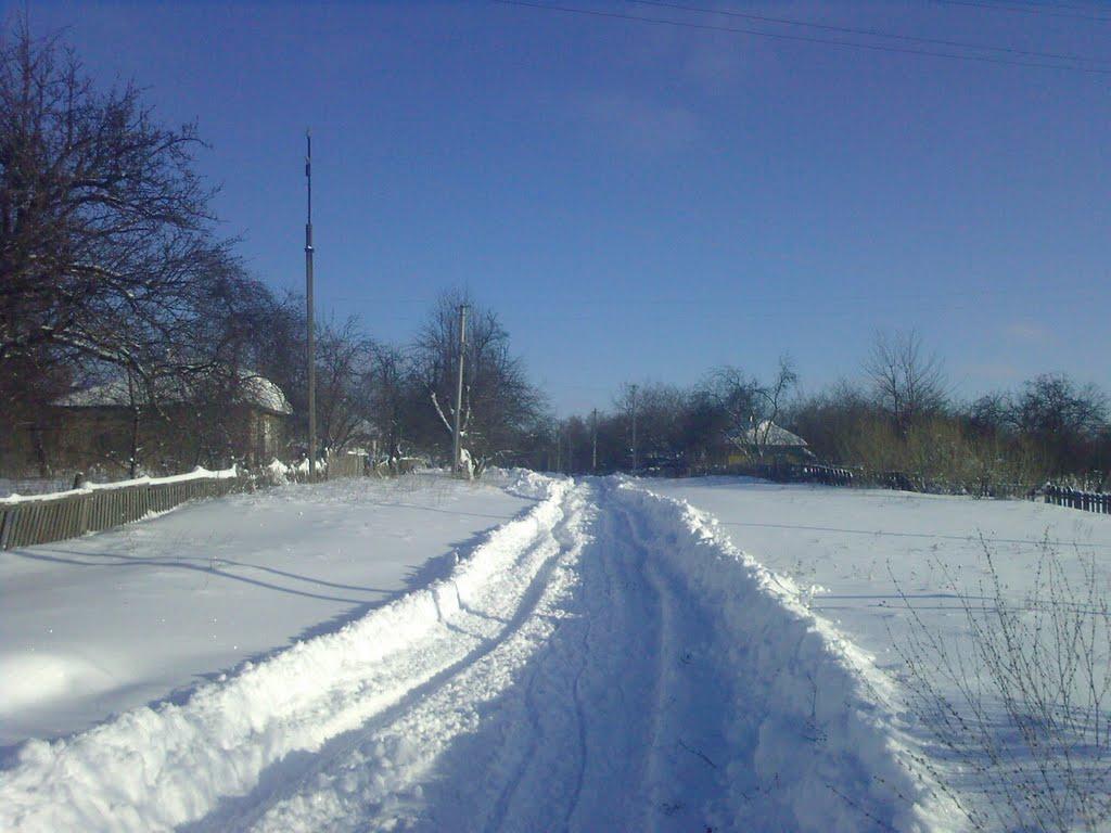 Безкровне з panoramio.com - Безкровне