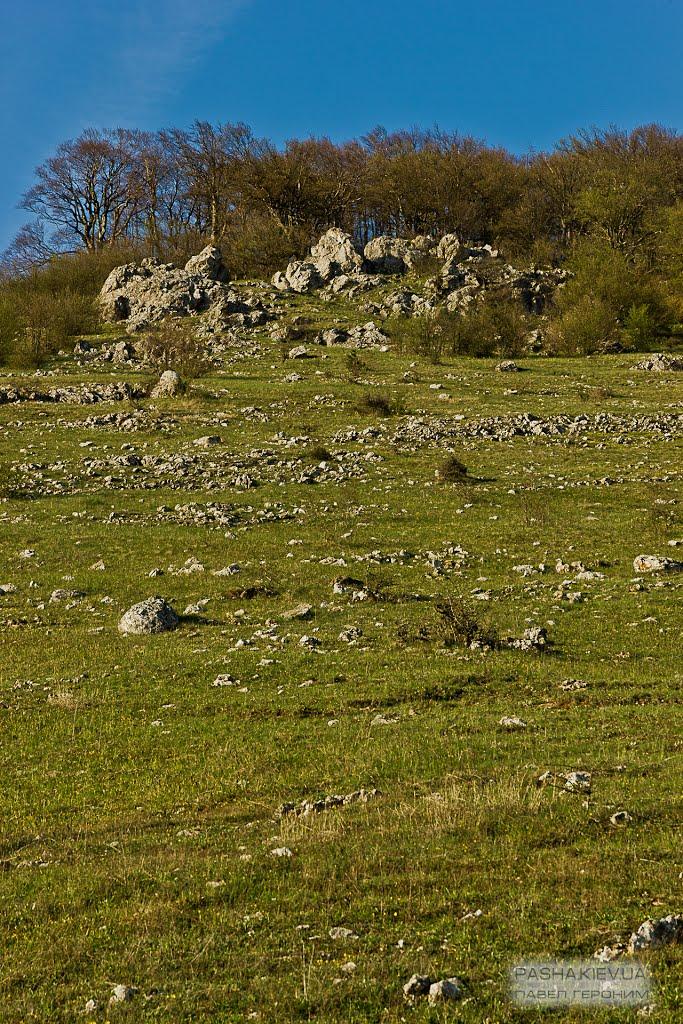 Генеральське з panoramio.com (ч.3) - Generalske