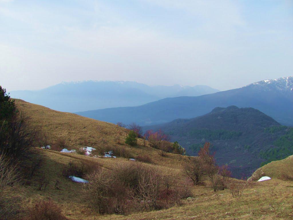 Лаванда з panoramio.com (ч.2) - Lavanda