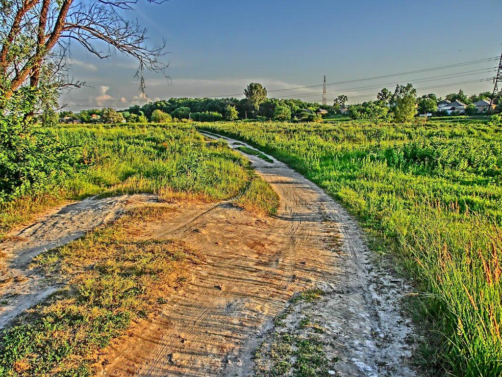 Олександрія з panoramio.com (ч.3) - Олександрія