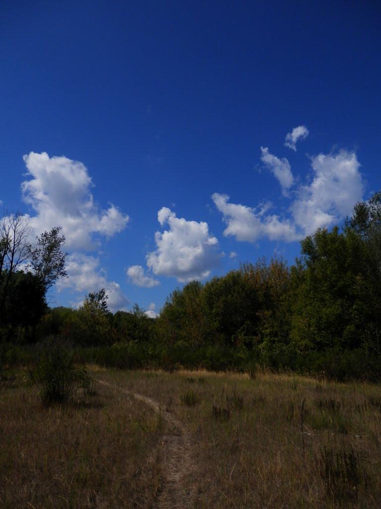 Кіровське з panoramio.com (ч.3) - Обуховка