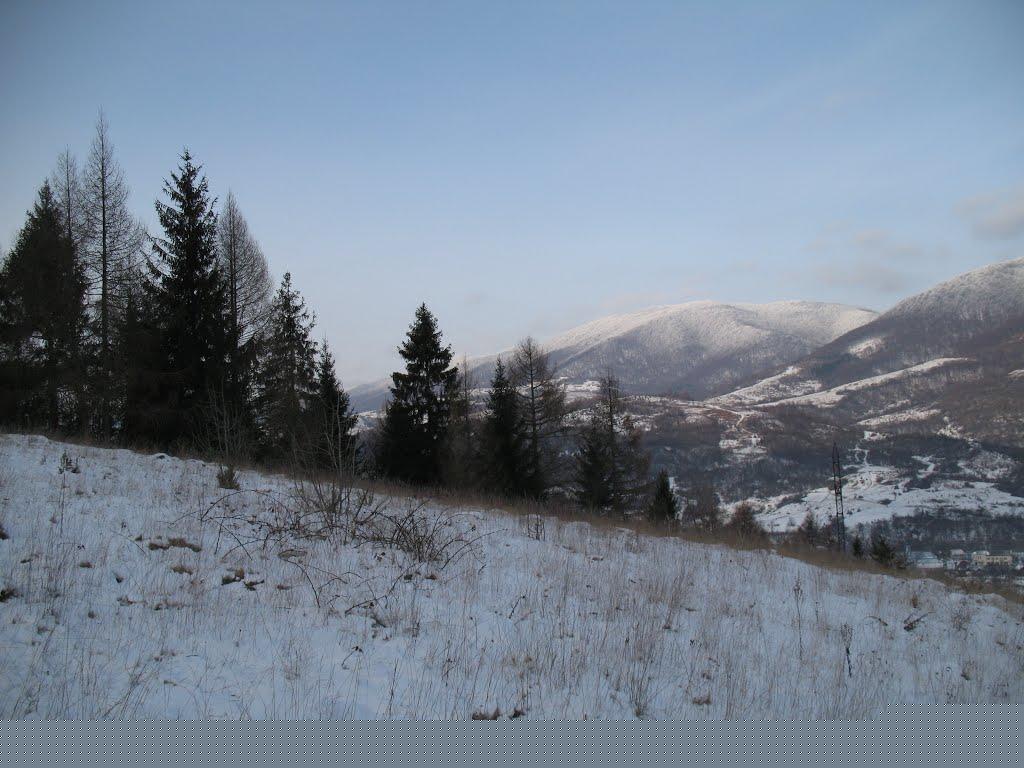 Дергачі з panoramio.com - Дергачи