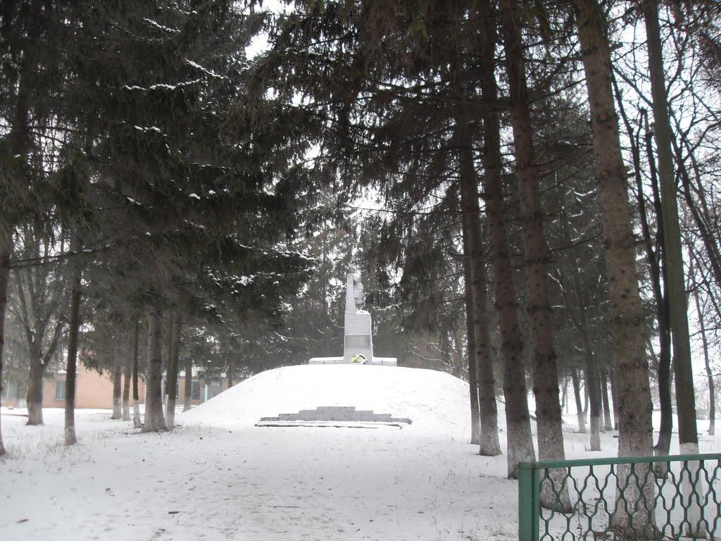 Пугачівка з panoramio.com - Пугачівка