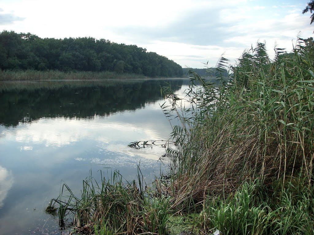 Нижнє з panoramio.com - Нижнє