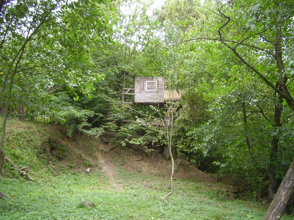 Забрідь з panoramio.com - Забродь