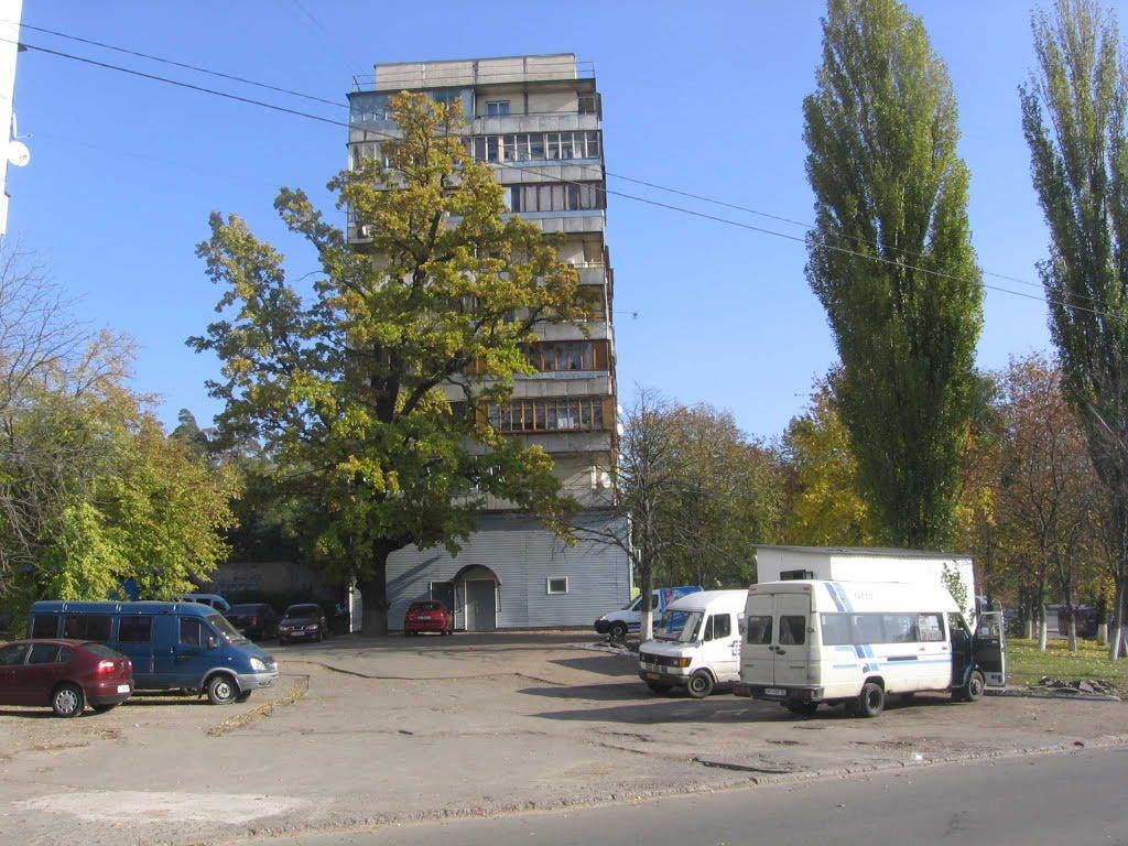 Коцюбинське з panoramio.com (ч.3) - Коцюбинское