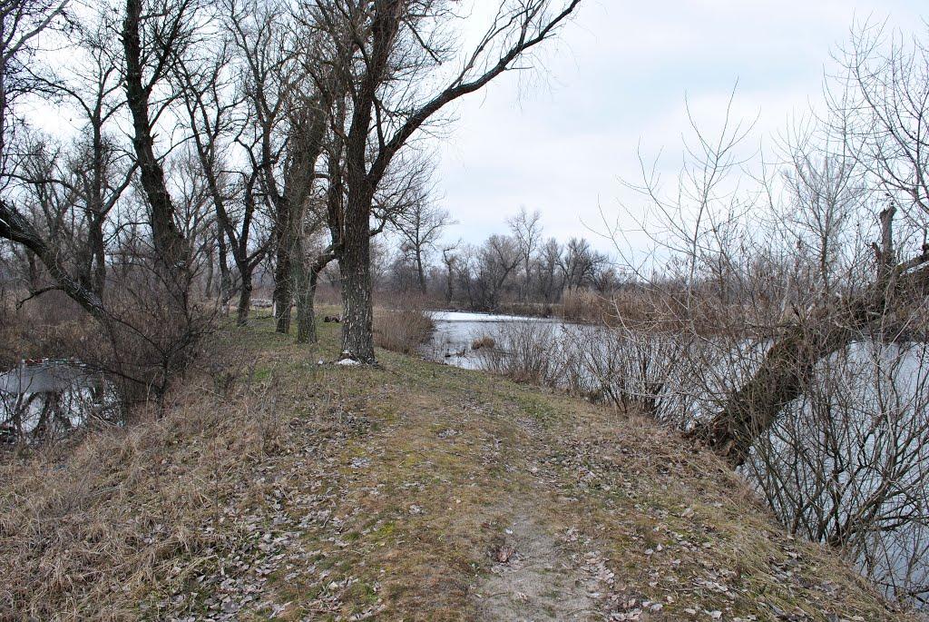 Миколаївка з panoramio.com - Миколаївка