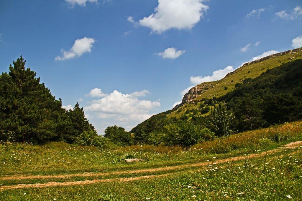 Лучисте з panoramio.com (ч.2) - Luchyste