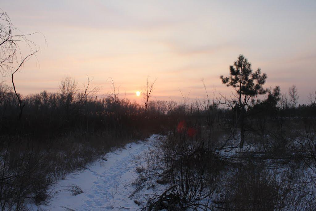 Кіровське з panoramio.com (ч.3) - Обуховка