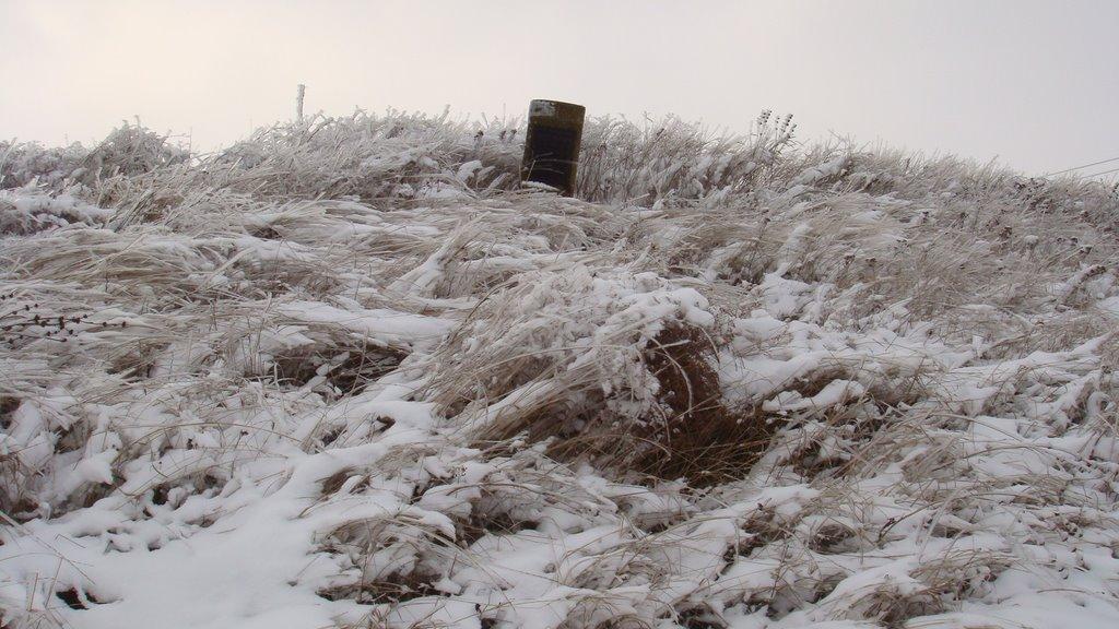 Анадоль з panoramio.com - Анадоль