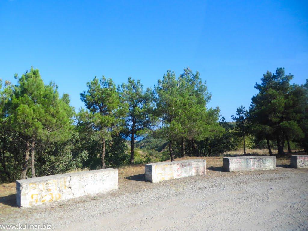 Сонячногірське з panoramio.com - Сонячногірське