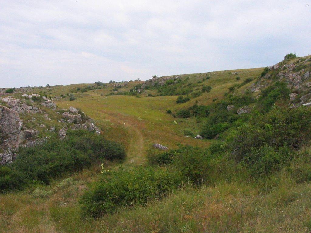 Семенівка з panoramio.com - Семенівка