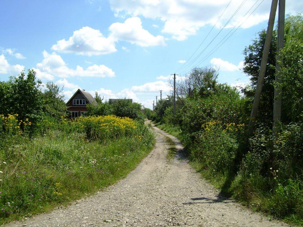 Липівка з panoramio.com - Липівка