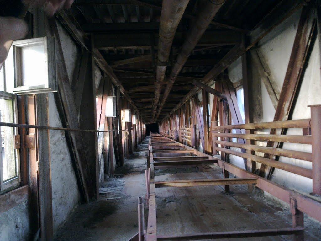 Теплодар з panoramio.com - Теплодар