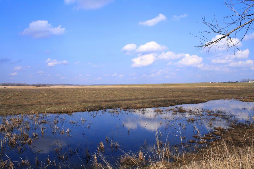 Новокомсомольське з panoramio.com - Новокомсомольське