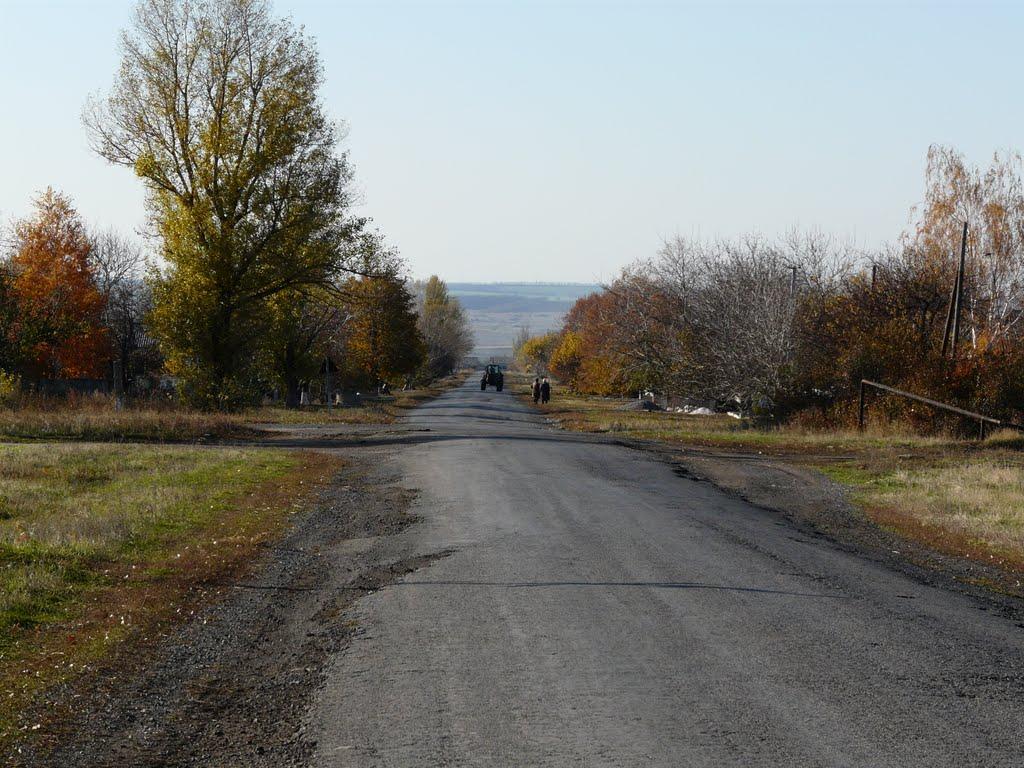 Сонцеве з panoramio.com - Сонцеве