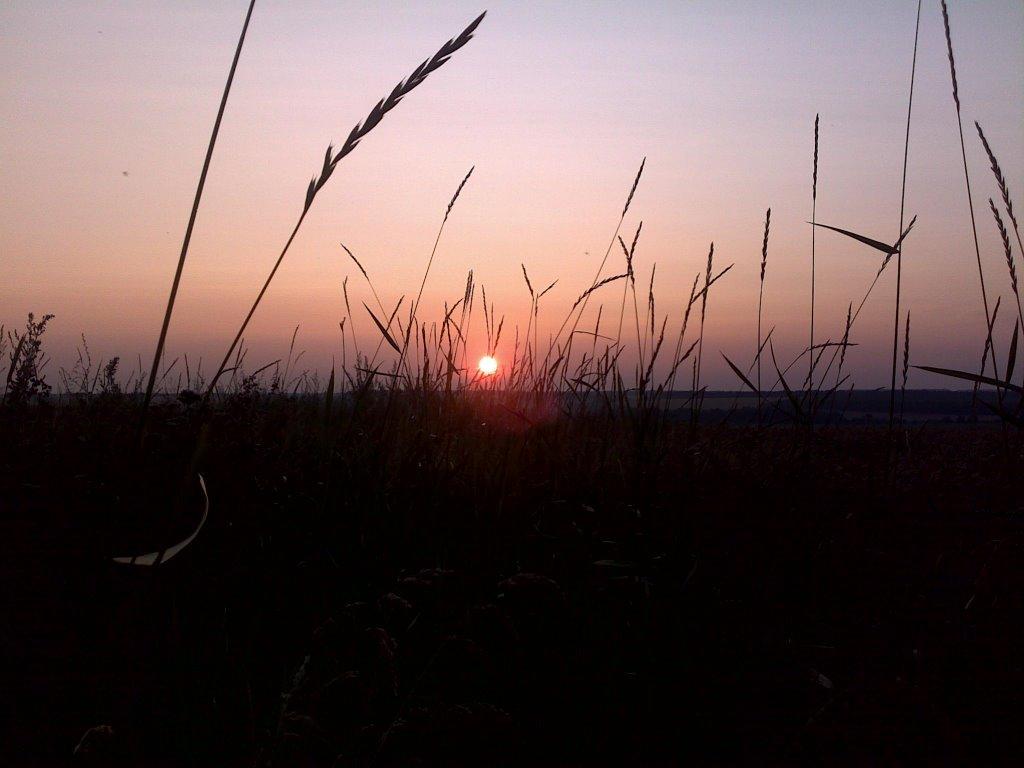 Бричківка з panoramio.com - Бричківка