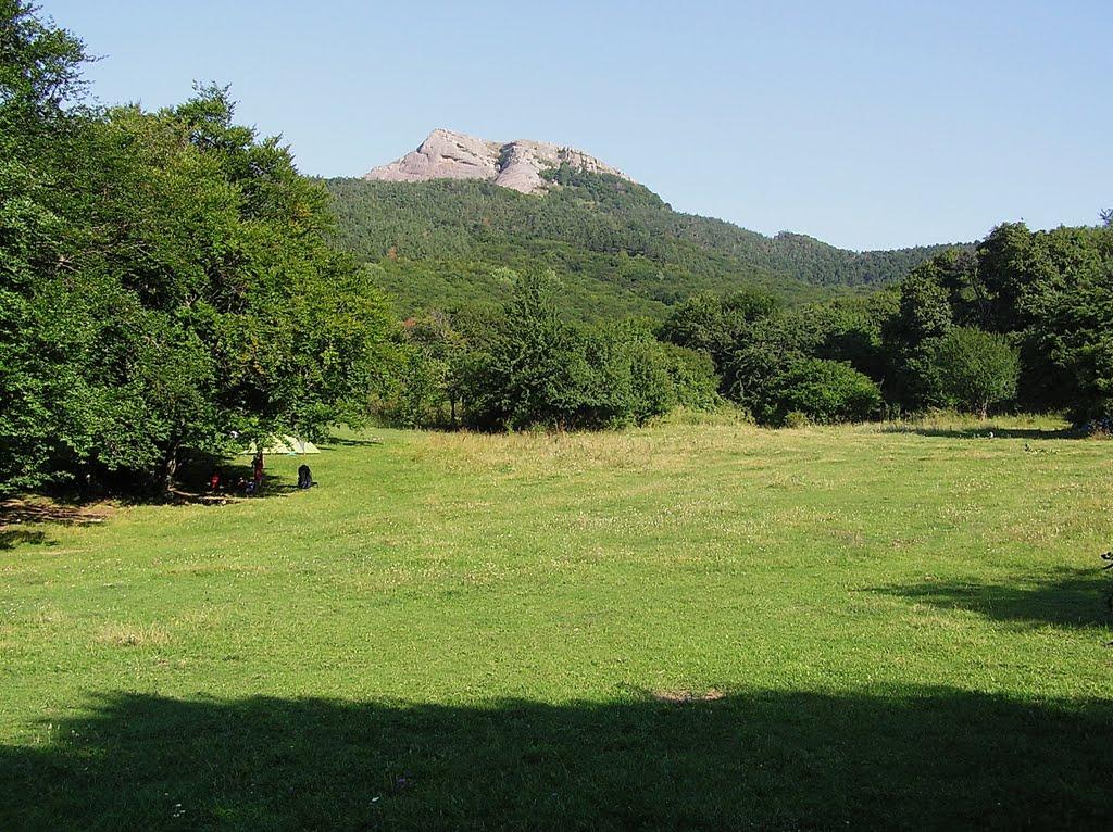 Лаванда з panoramio.com (ч.2) - Lavanda