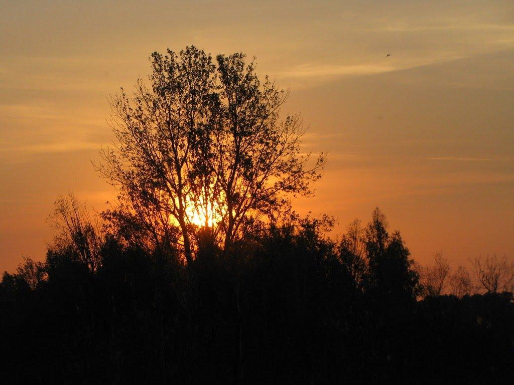 Товкачівка з panoramio.com - Товкачівка