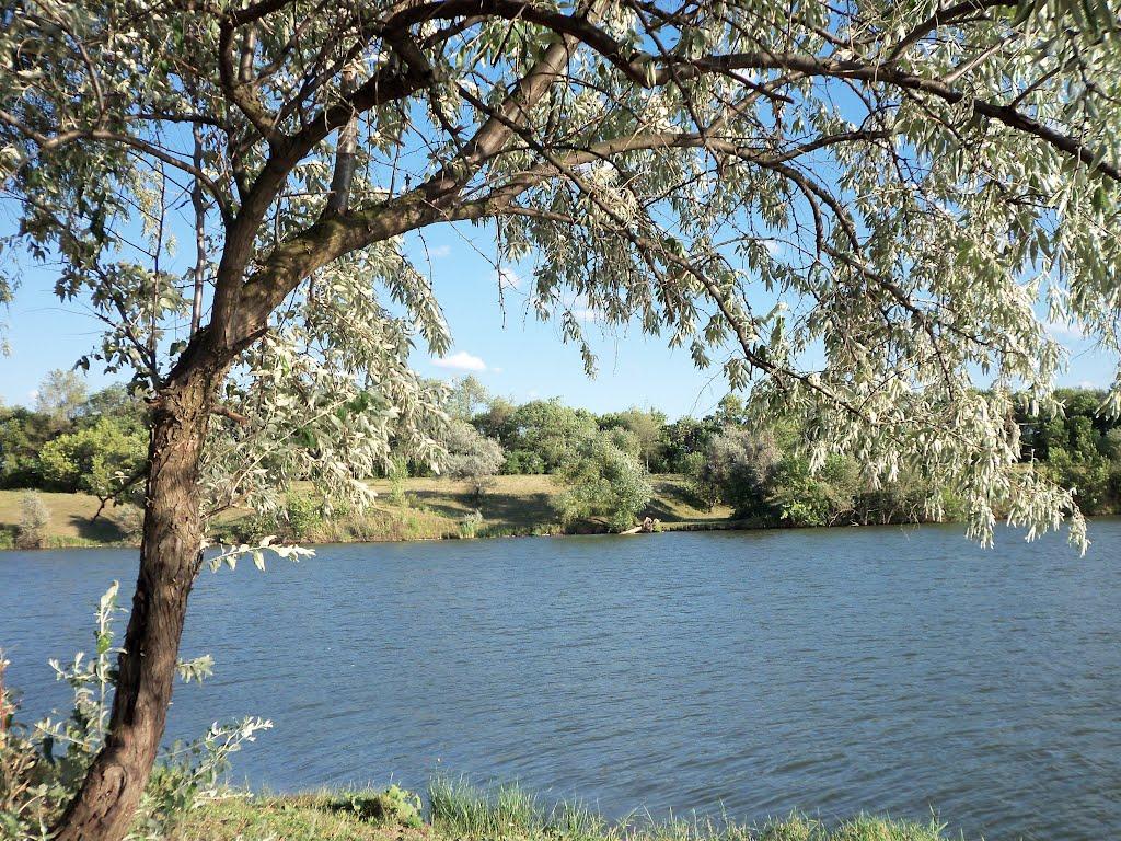 Гнаровське з panoramio.com - Гнаровське