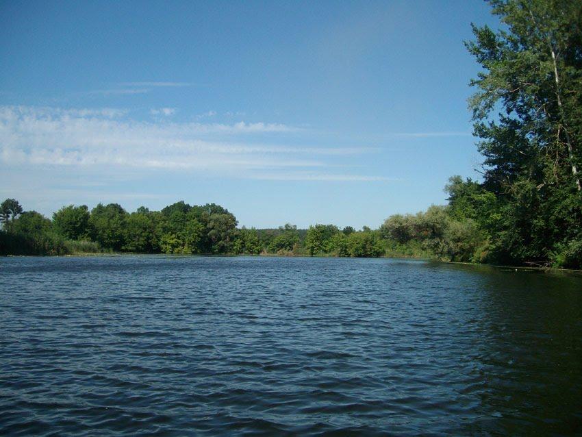 Суха Гомільша з panoramio.com - Сухая Гомольша