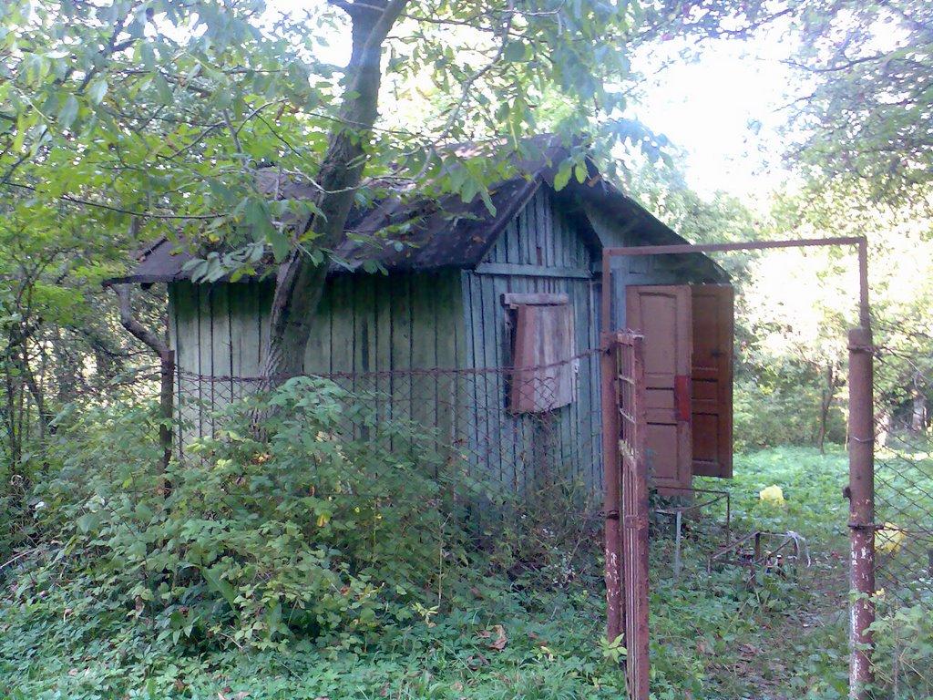 Винники з panoramio.com - Vynnyky