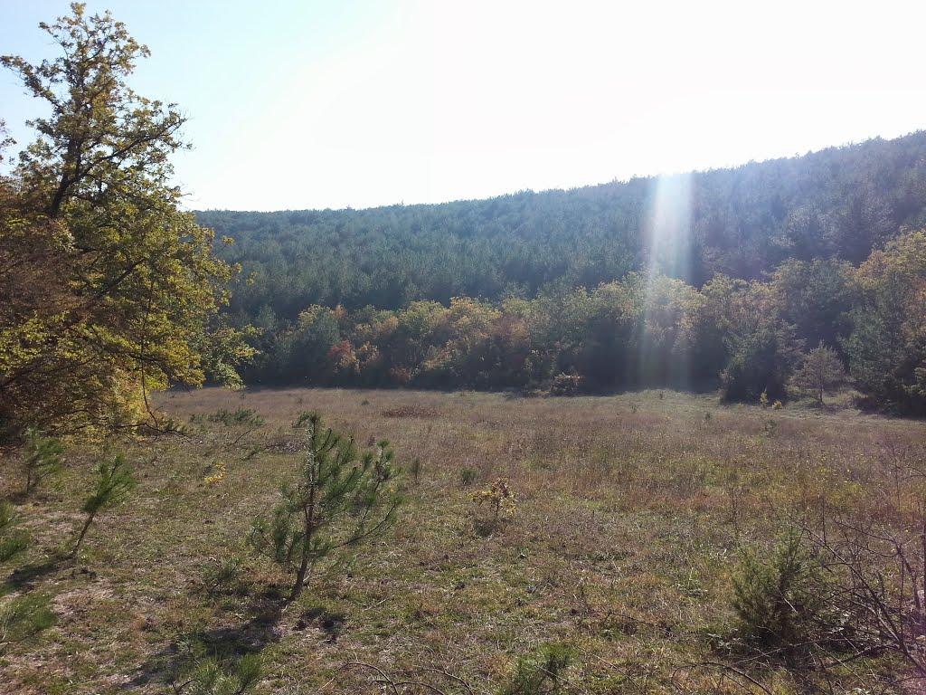 Тернівка з panoramio.com (ч.3) - Терновка