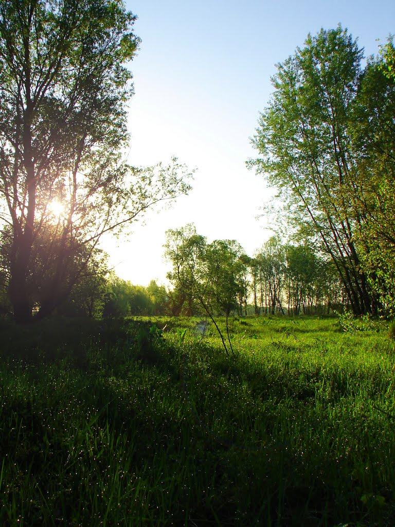 Шестовиця з panoramio.com - Шестовиця