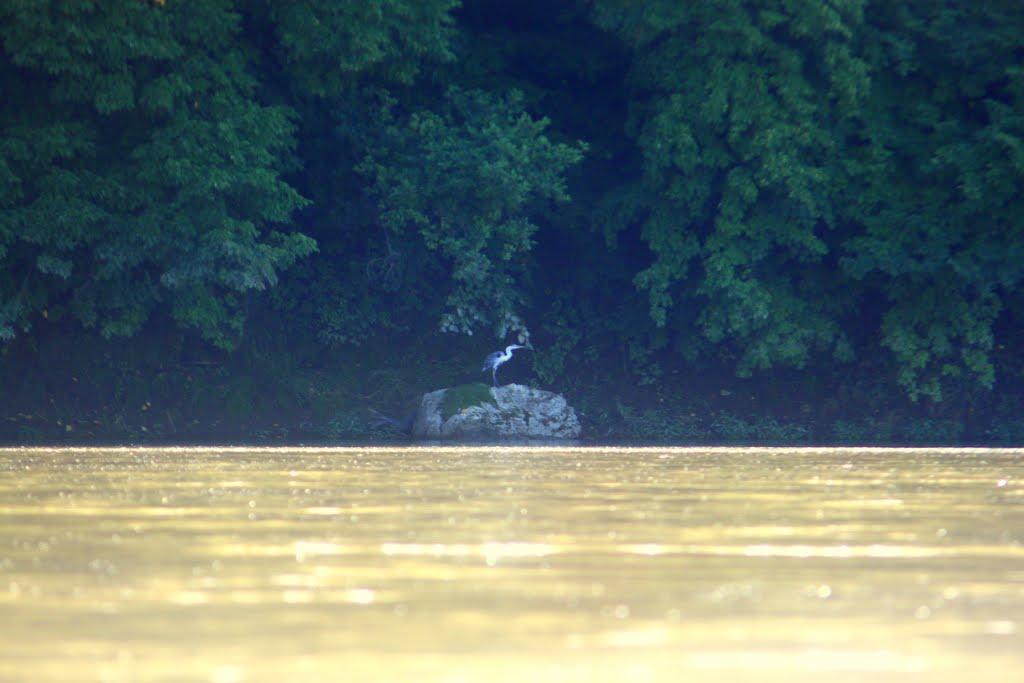 Устя-Зелене з panoramio.com - Устя-Зелене