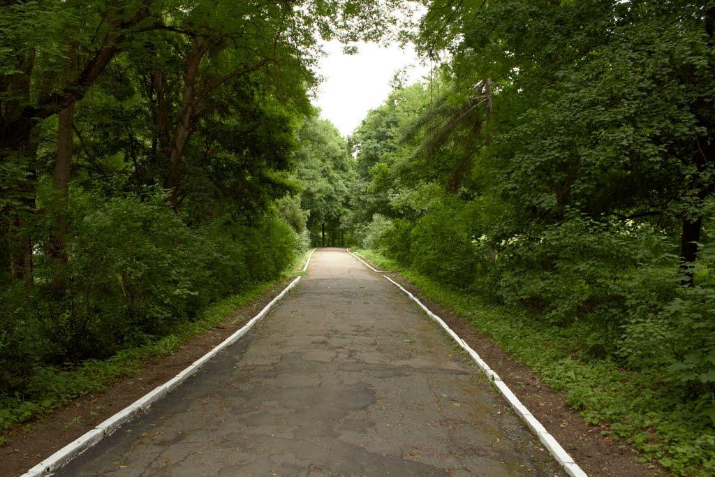 Верхівка з panoramio.com - Верхівка